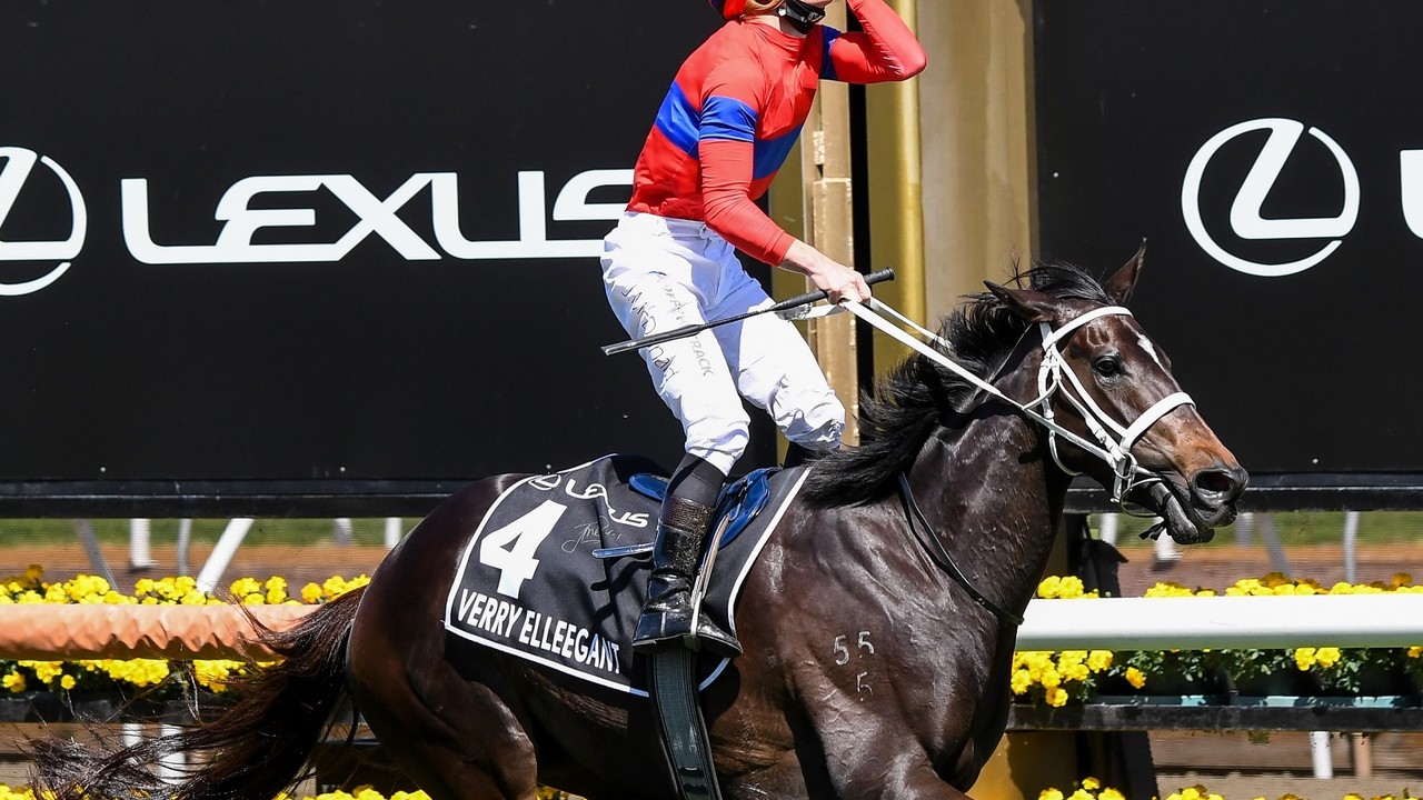 Spanish Mission To Stay In Australia After Melbourne Cup Run Image 1